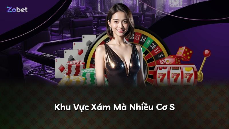Khu Vực Xám Mà Nhiều Cơ S