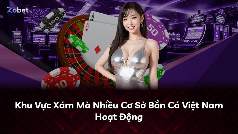 Khu Vực Xám Mà Nhiều Cơ Sở Bắn Cá Việt Nam Hoạt Động