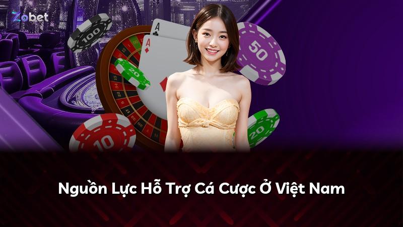 Nguồn Lực Hỗ Trợ Cá Cược Ở Việt Nam